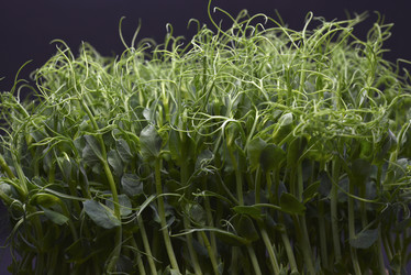 Similar image 21452105