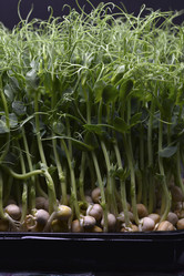 Similar image 21452106