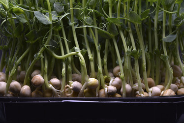 Similar image 21452107