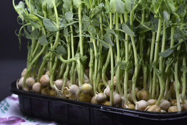 Similar image 21452108