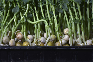 Similar image 21452110