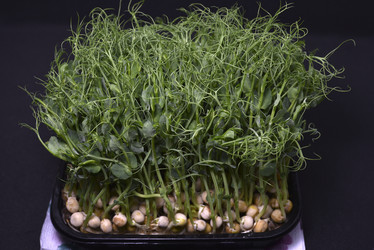 Similar image 21452111