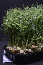 Similar image 21452112