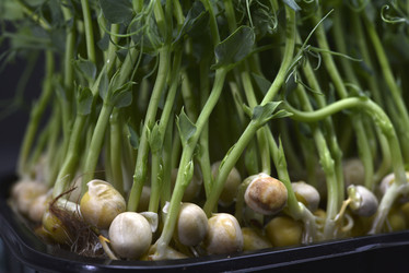 Similar image 21452113