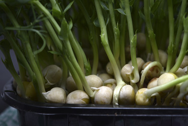 Similar image 21452115