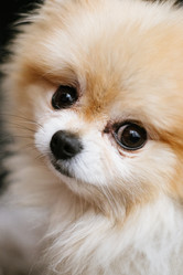 Similar image 21449562