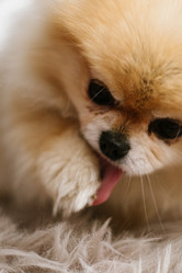 Similar image 21449566