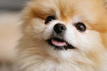 Similar image 21449569