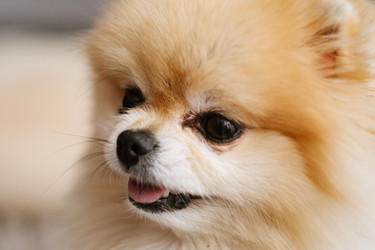 Similar image 21449570