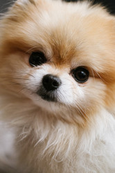 Similar image 21449572