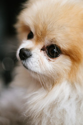 Similar image 21449573