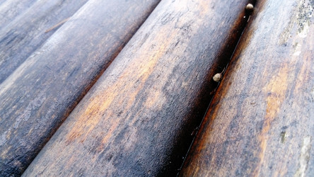 Similar image 21455546