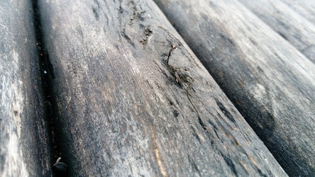 Similar image 21455553