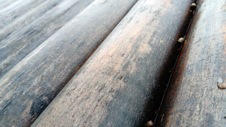 Similar image 21455555