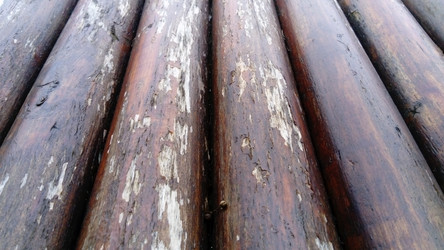 Similar image 21455559