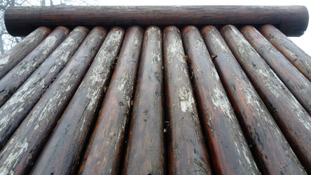 Similar image 21455561