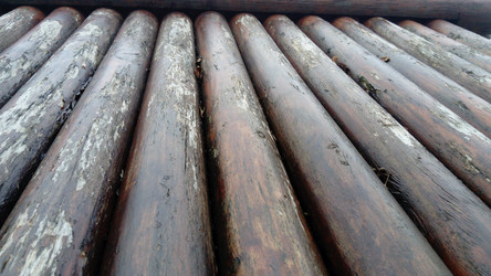 Similar image 21455565