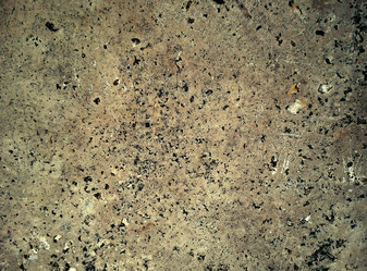 Similar image 21455573