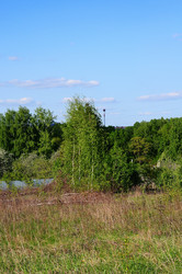 Similar image 21450231