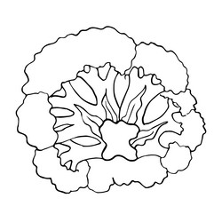 Similar image 21474718