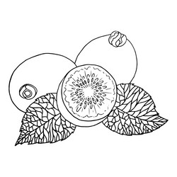 Similar image 21474746