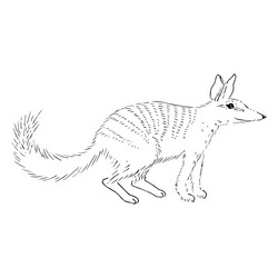 Similar image 21474749