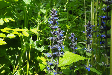 Similar image 21453404