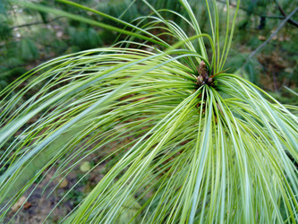 Similar image 21453412