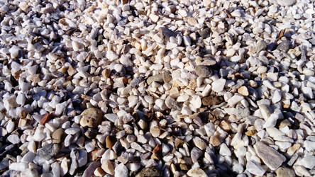 Similar image 21453424