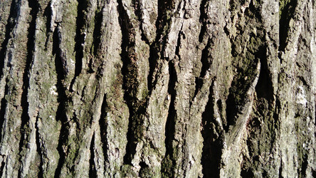 Similar image 21455408