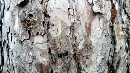 Similar image 21455414