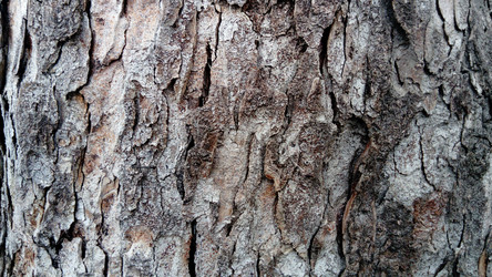 Similar image 21455415