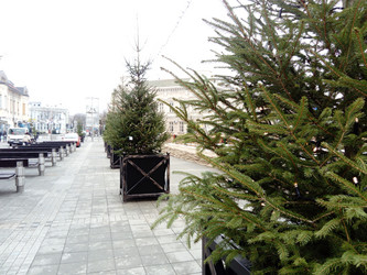 Similar image 21478246