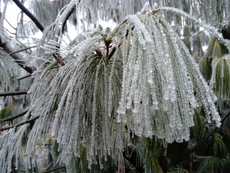 Similar image 21455416