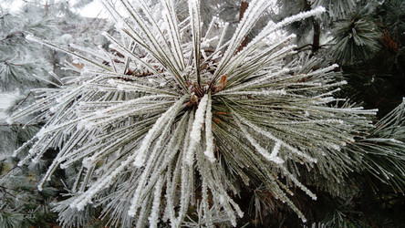 Similar image 21455417