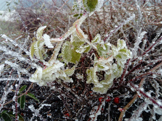 Similar image 21455576