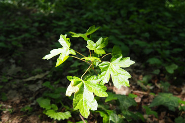 Similar image 21455580