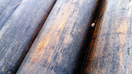 Similar image 21455592