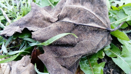 Similar image 21455595