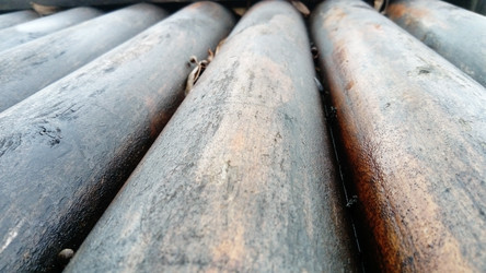 Similar image 21455596