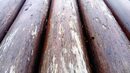 Similar image 21455597