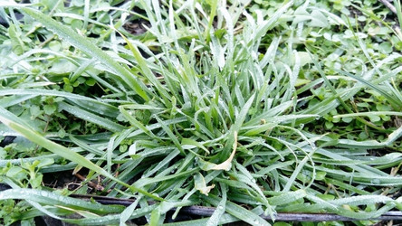 Similar image 21455605