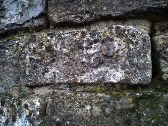 Similar image 21455609