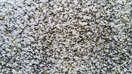 Similar image 21455610