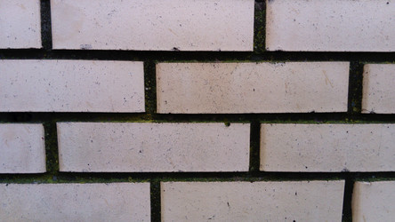 Similar image 21455616