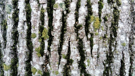 Similar image 21455620