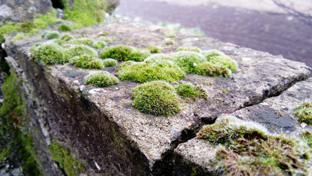 Similar image 21455622