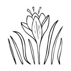 Similar image 21480303