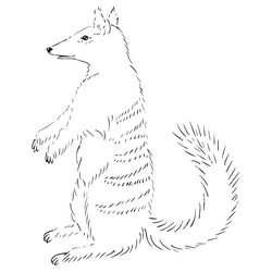 Similar image 21474912