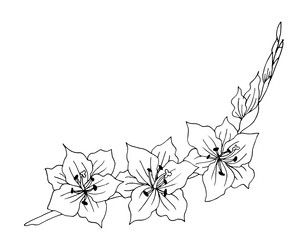 Similar image 21480308